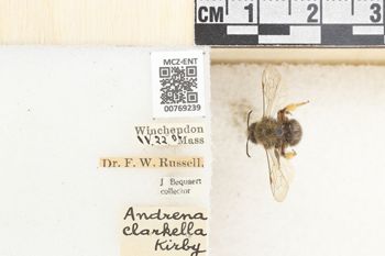 Media type: image;   Entomology 769239 Aspect: Labels